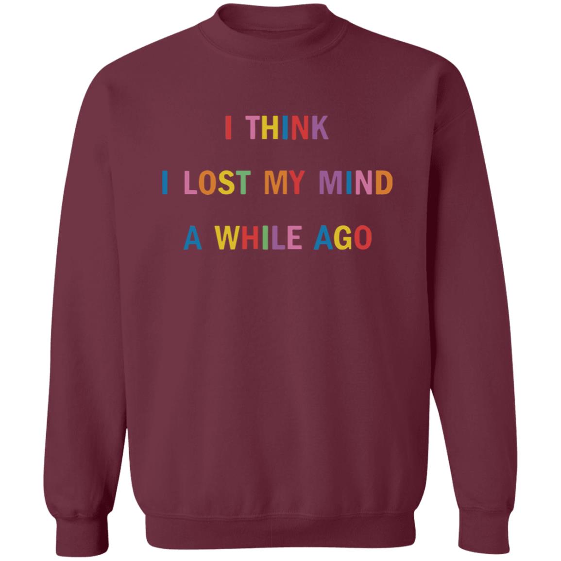 I Think I Lost My Mind A While Ago Hoodie - Teechipus