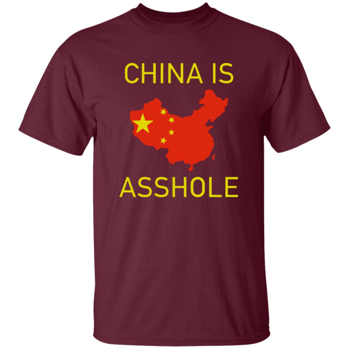 China Is Asshoe T Shirt - Teechipus