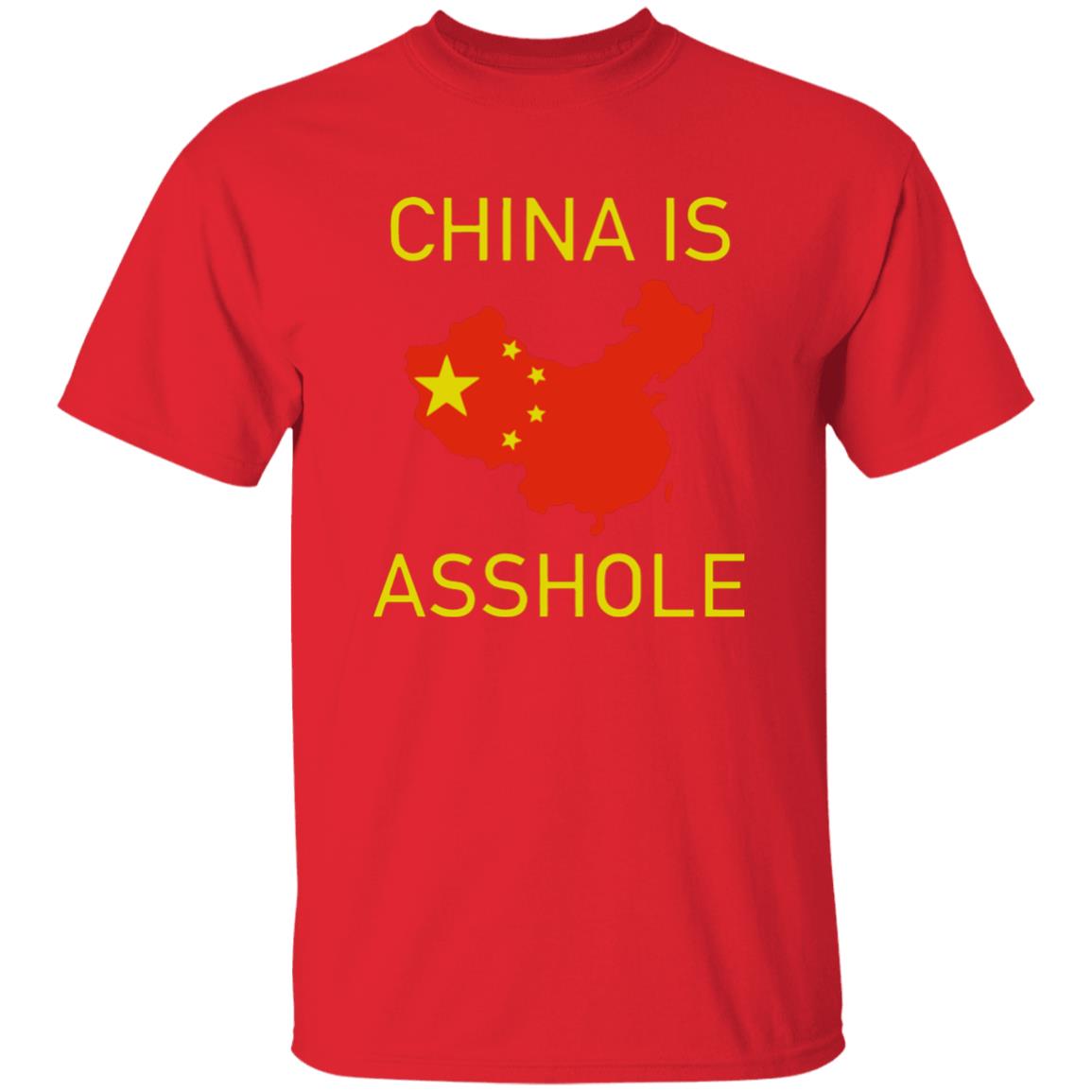 China Is Asshoe T Shirt - Teechipus
