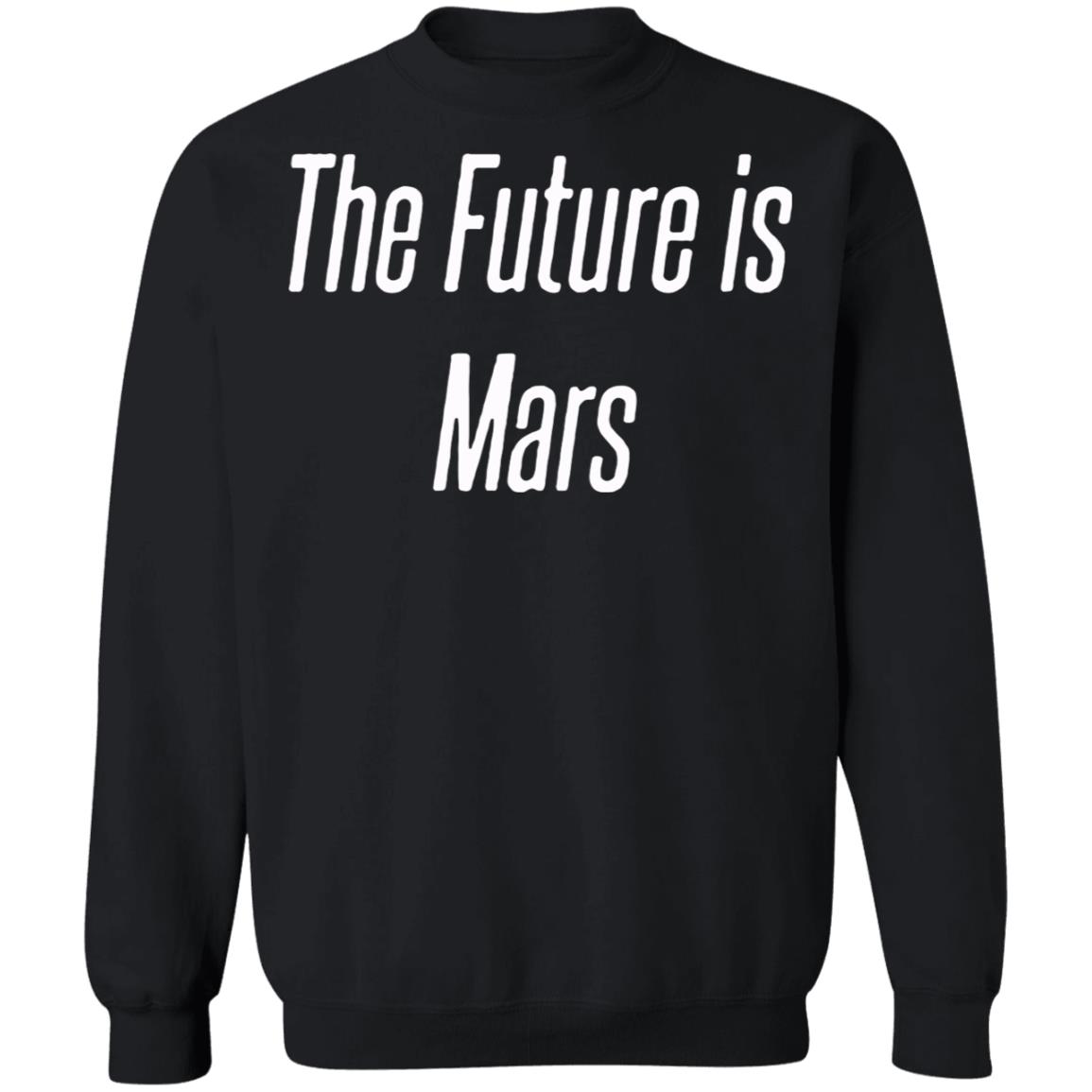 The Future is Mars Hoodie - Teechipus