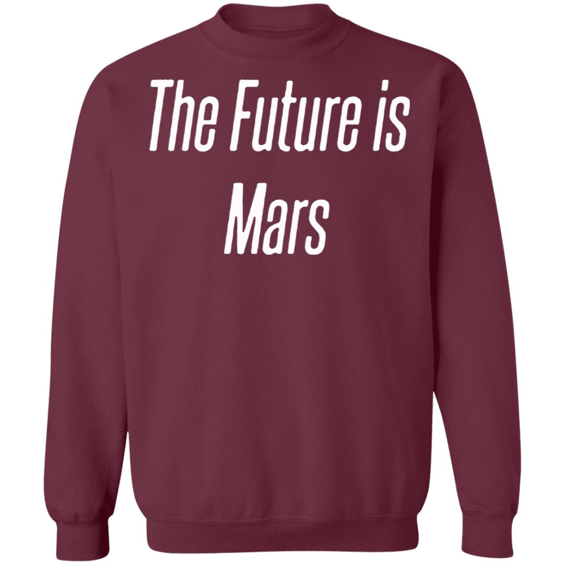 The Future is Mars Hoodie - Teechipus
