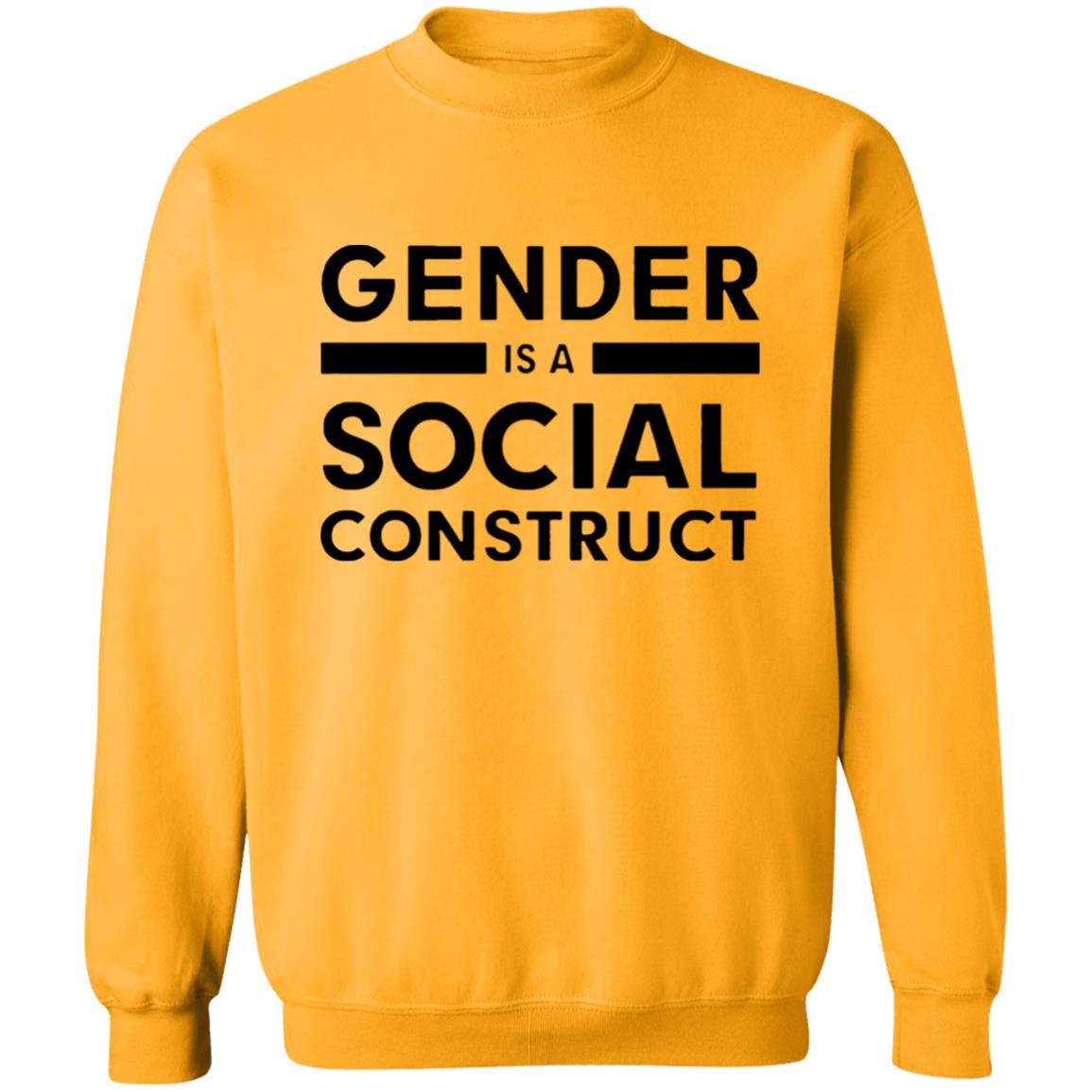 Gender is a Social Construct Hoodie - Teechipus