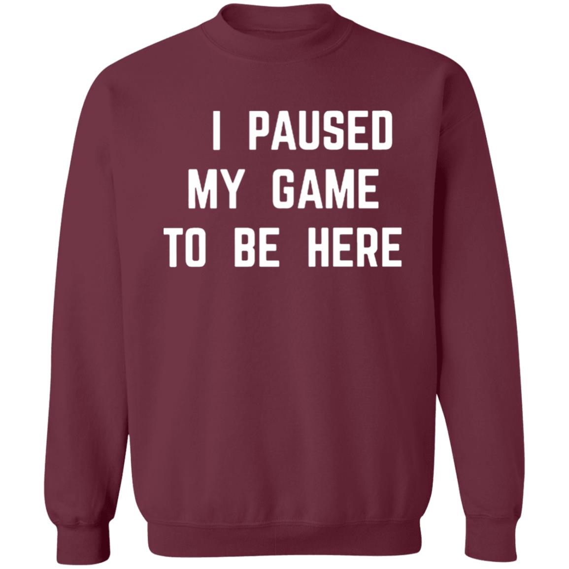 I Paused My Game To Be Here T Shirt - Teechipus