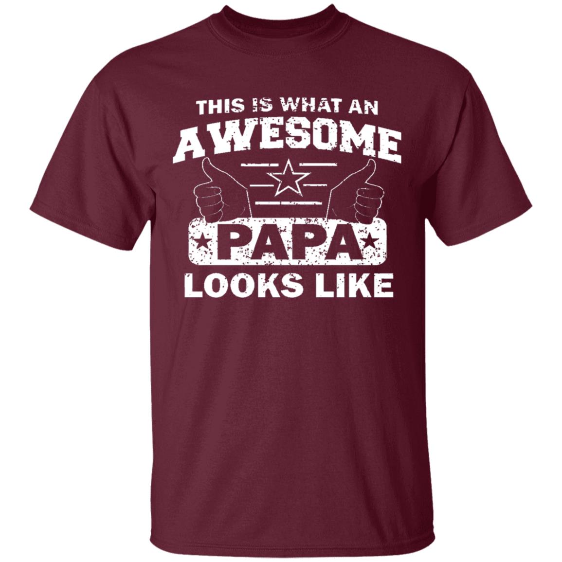 This Is What An Awesome Papa Looks Like Hoodie T Shirt - Teechipus
