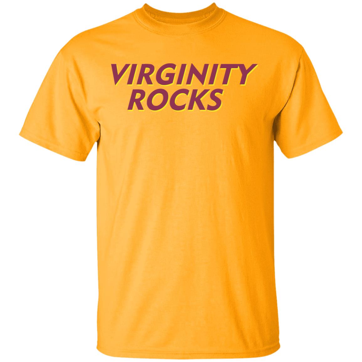 Virginity Rocks White Hoodie - Teechipus