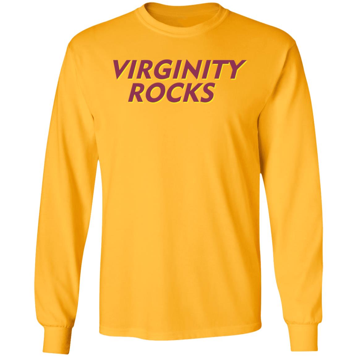 Virginity Rocks White Hoodie - Teechipus