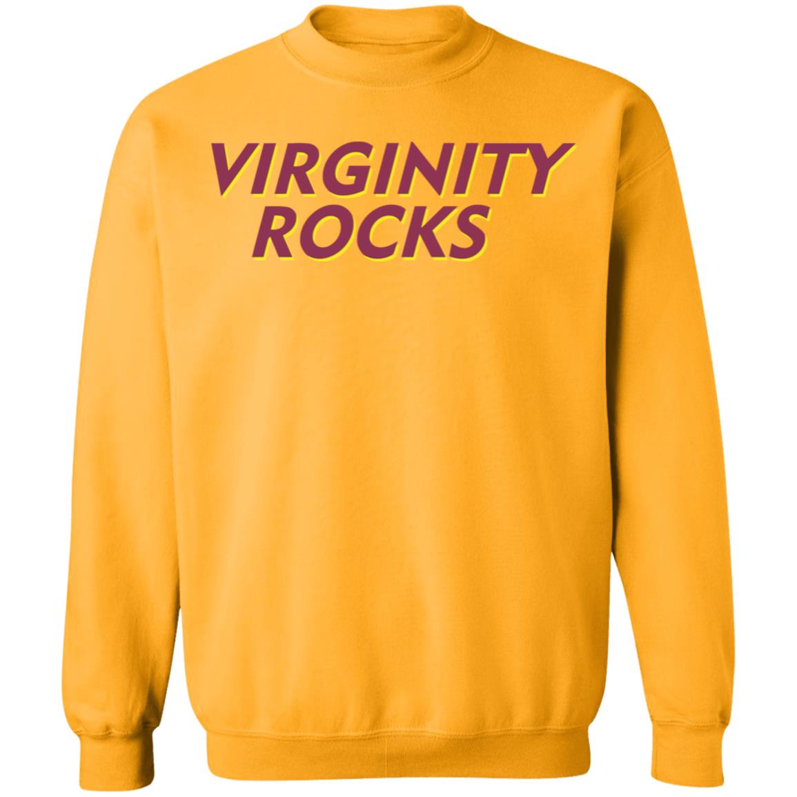 Virginity Rocks White Hoodie - Teechipus