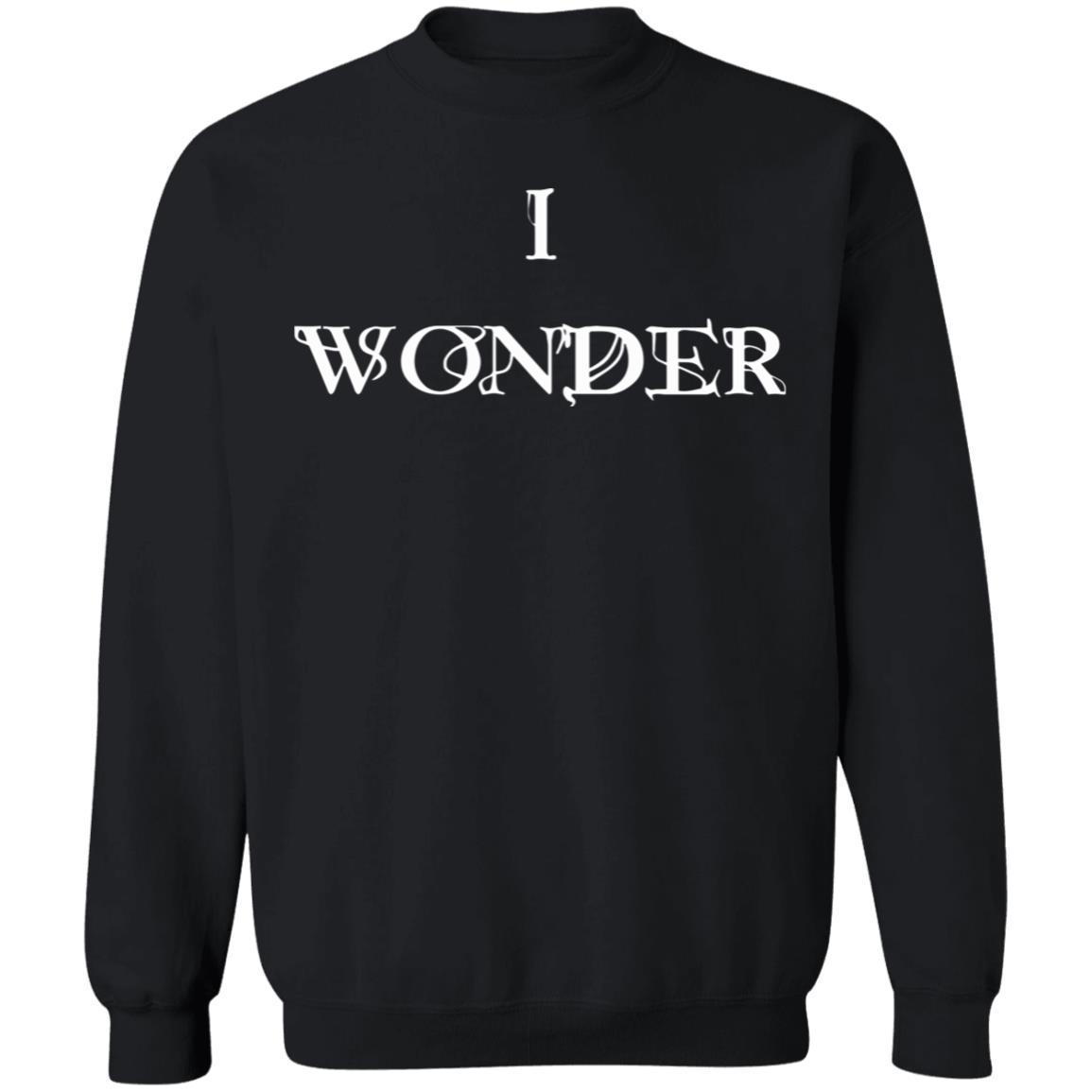 Wonder Hoodie I Wonder Hoodie Sweatshirt - Teechipus