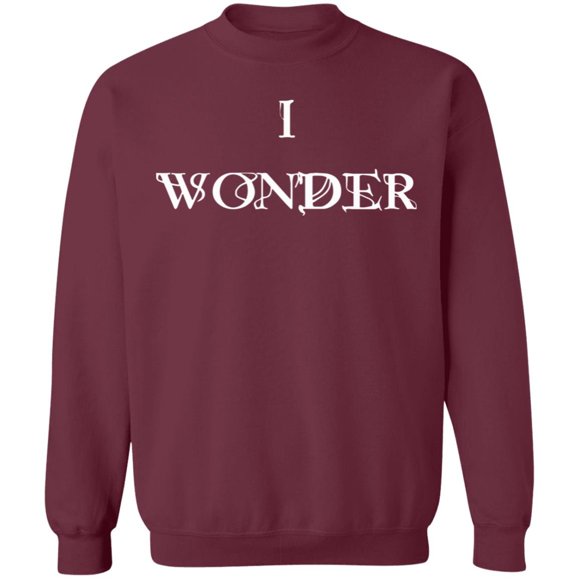 Wonder Hoodie I Wonder Hoodie Sweatshirt - Teechipus
