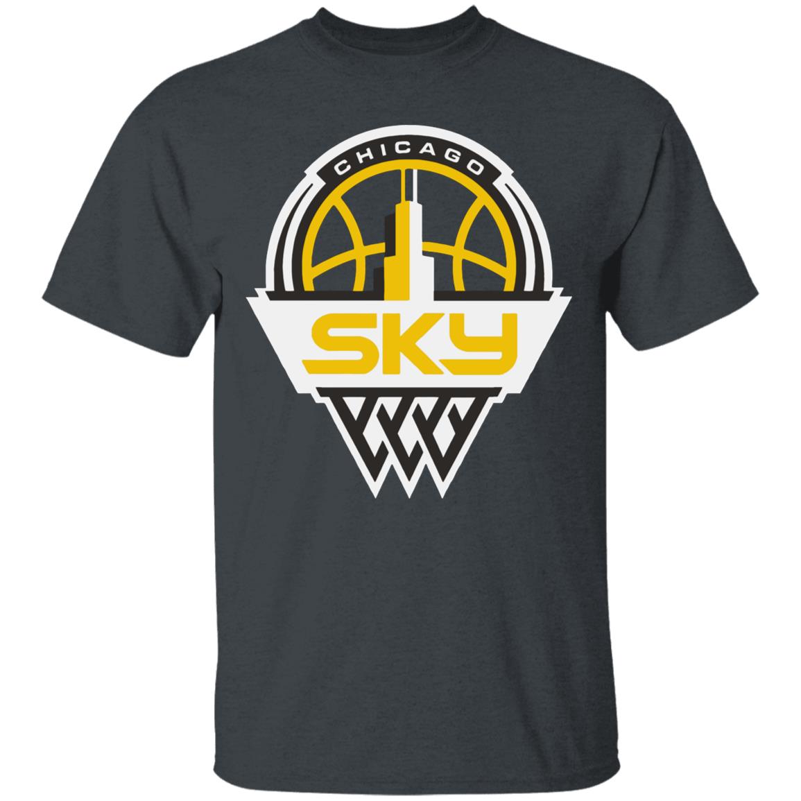 Youth Chicago Sky Fanatics Branded Light Blue Primary Logo Pullover Hoodie - Teechipus