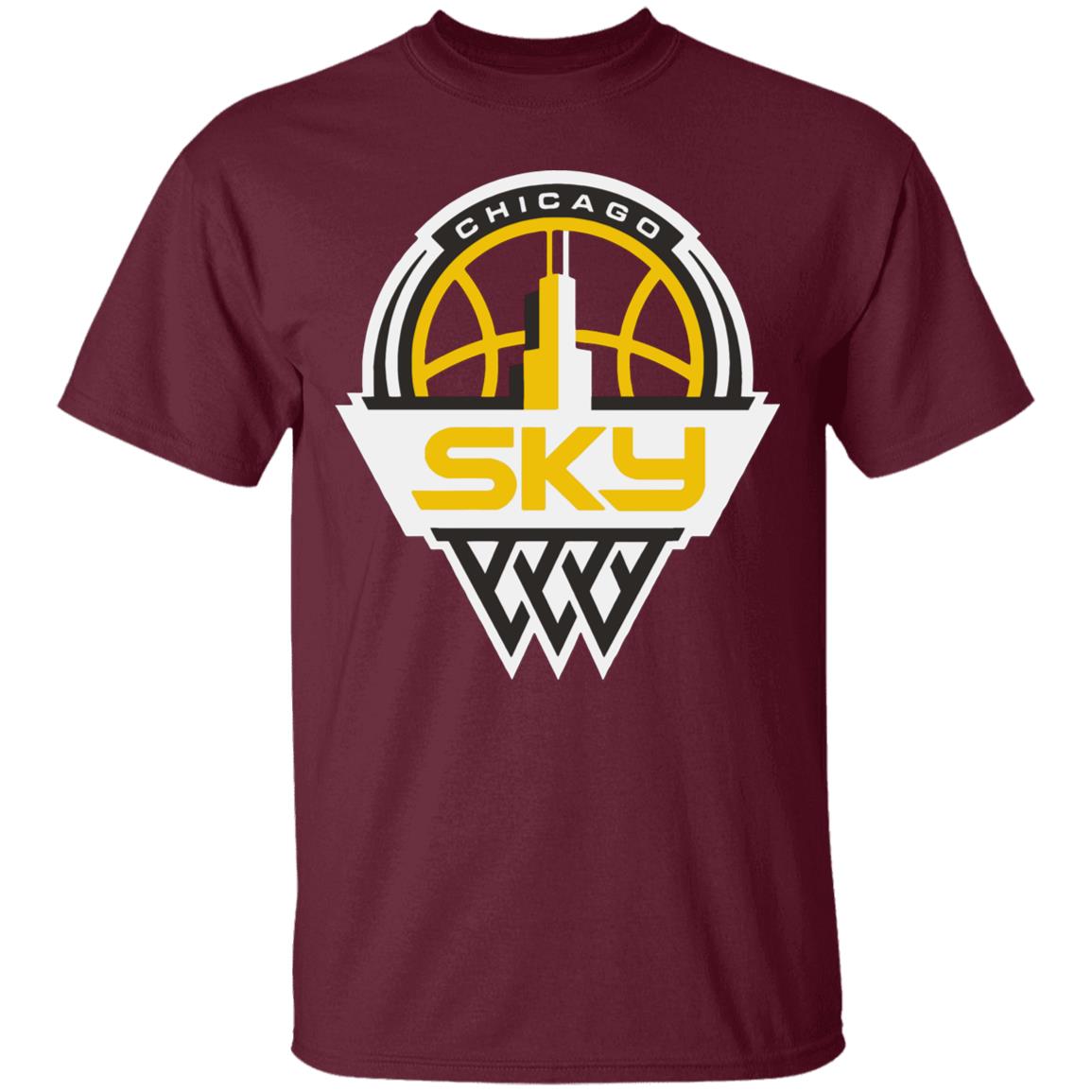 Youth Chicago Sky Fanatics Branded Light Blue Primary Logo Pullover Hoodie - Teechipus