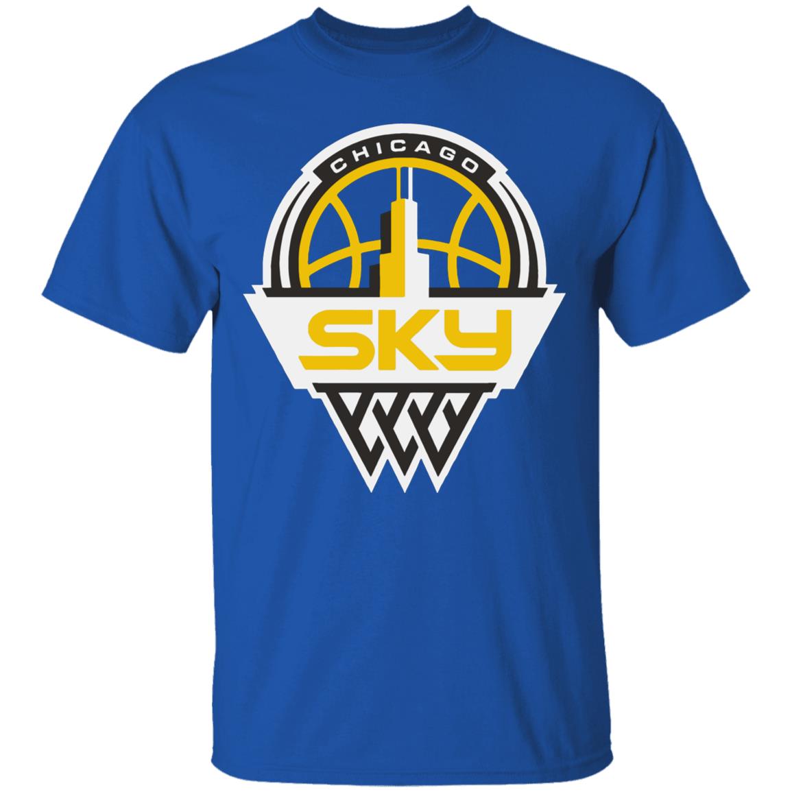 Youth Chicago Sky Fanatics Branded Light Blue Primary Logo Pullover Hoodie - Teechipus