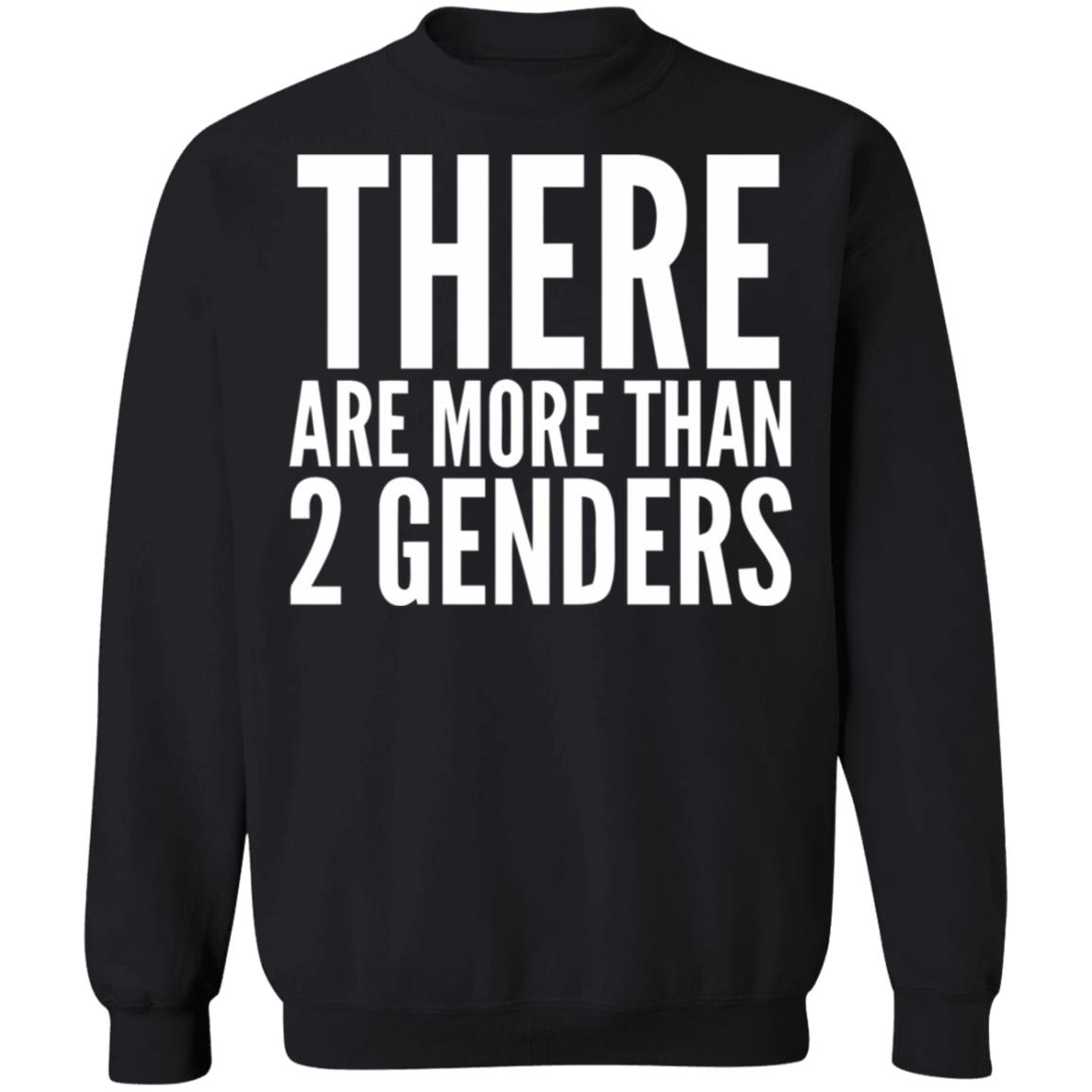 there are more than two genders shirt black - Teechipus