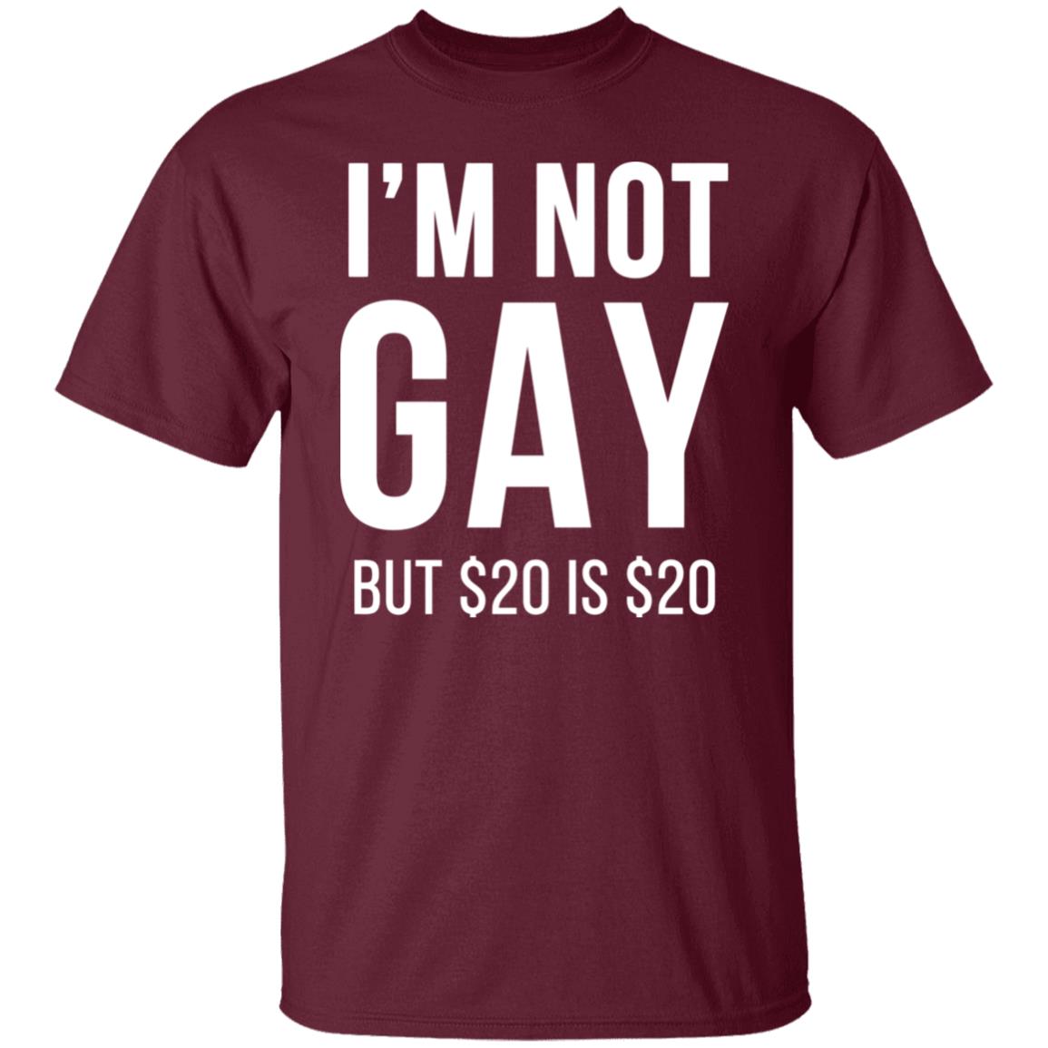 im not gay but $20 is $20 shirt black hoodie t shirt - Teechipus