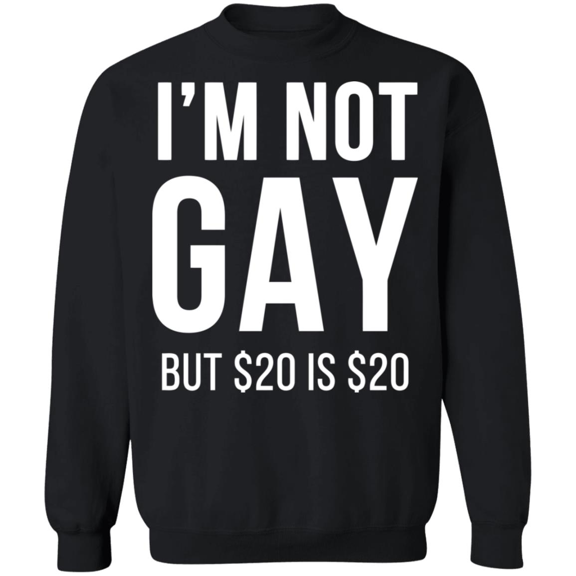 im not gay but $20 is $20 shirt black hoodie t shirt - Teechipus