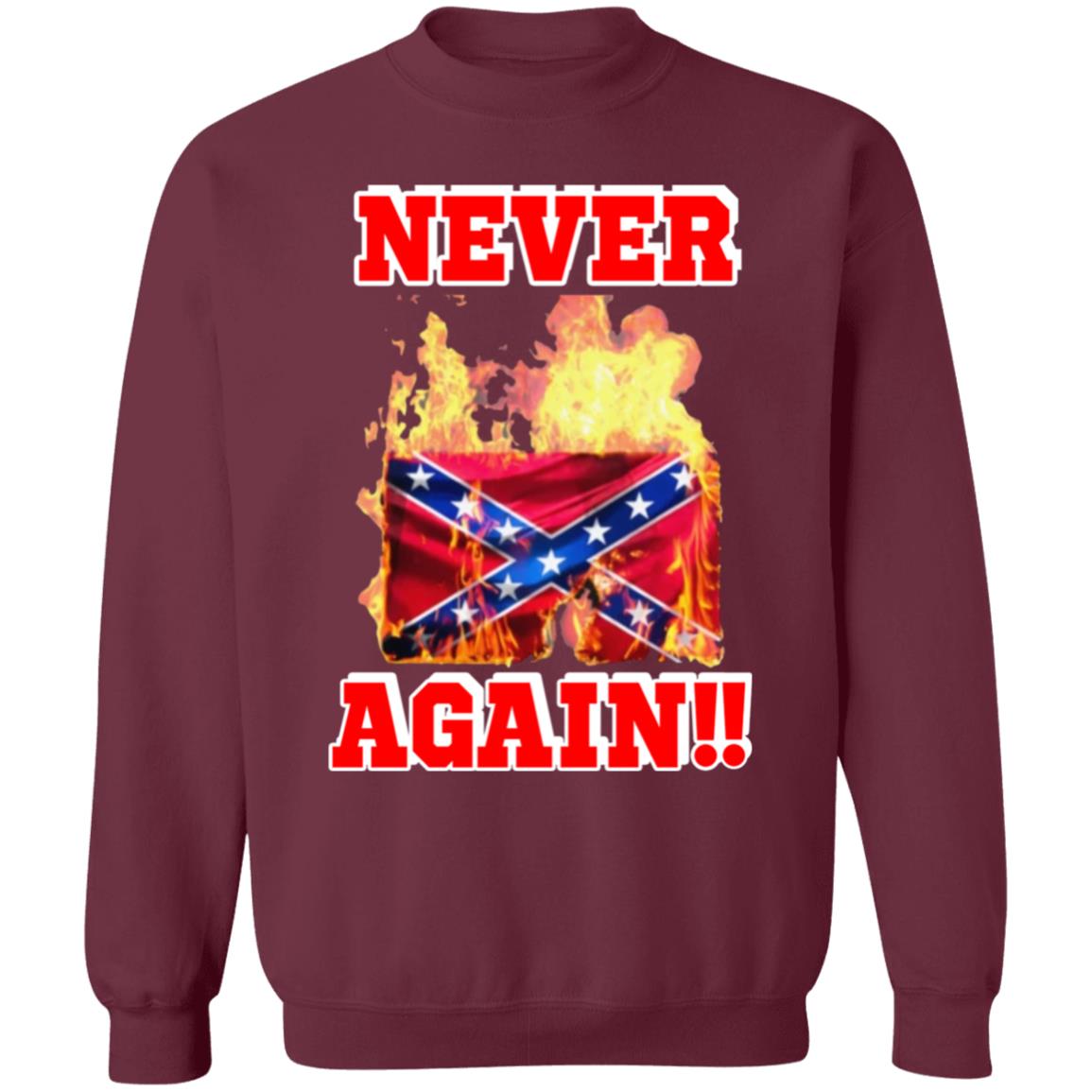Burning The Confederate Flag SHIRT Hoodie Sweatshirt - Teechipus