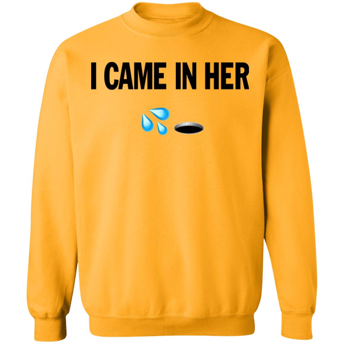 I Came In Her Shirt Hoodie Sweatshirt - Teechipus