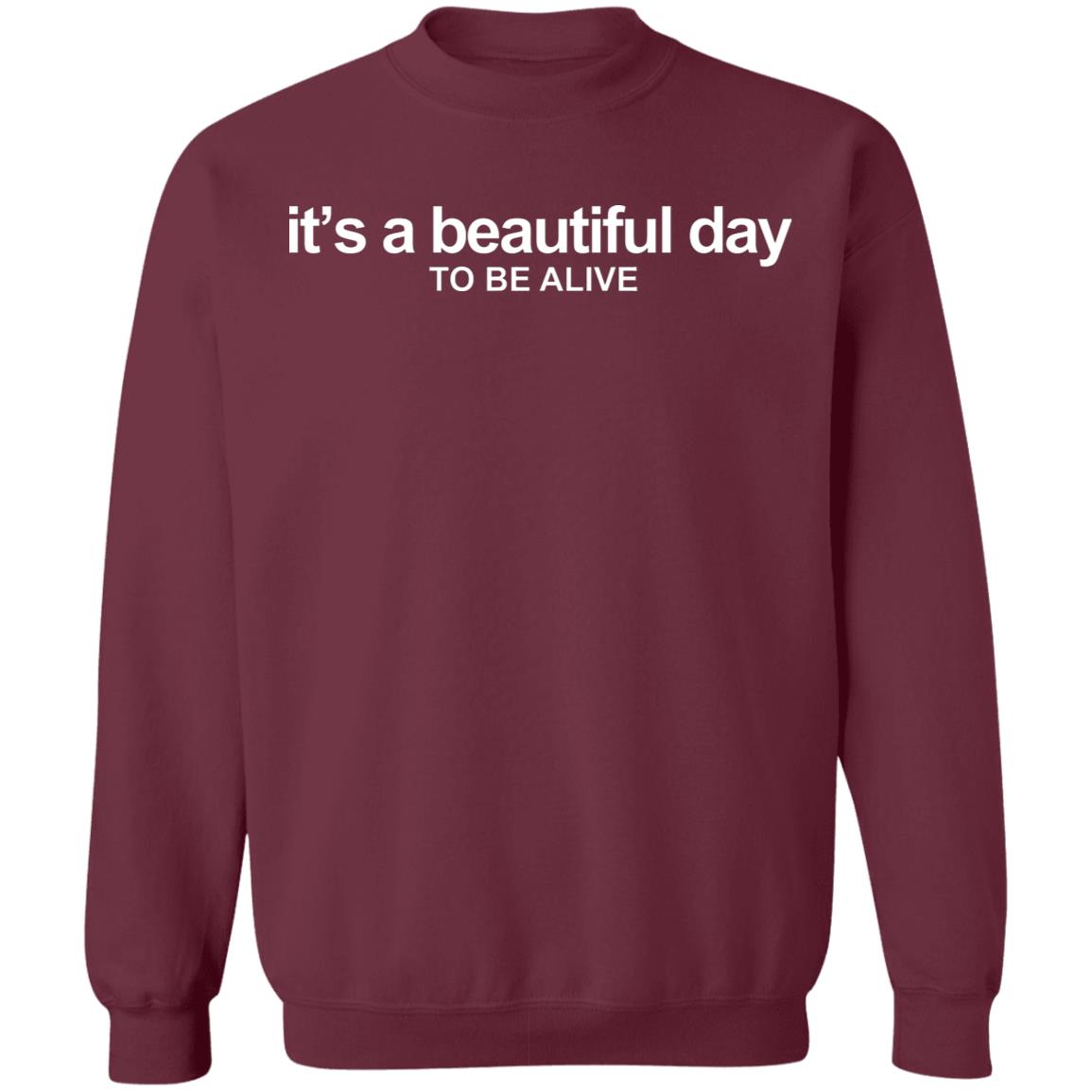 Beautiful Day Fleece Pullover Shirt Hoodie Sweatshirt - Teechipus