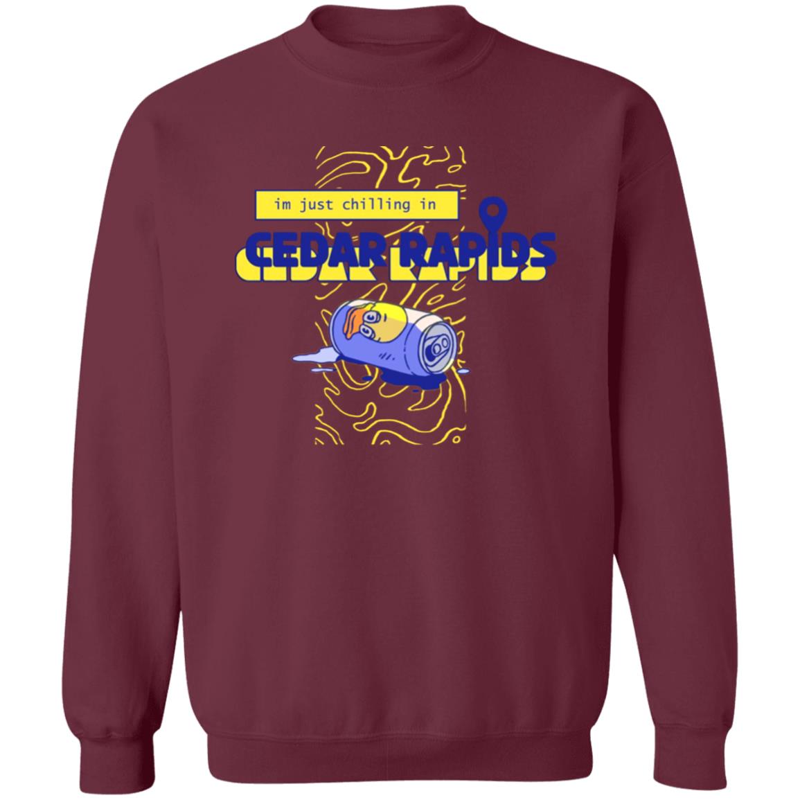 CEDAR RAPIDS T-SHIRT Apparel Duck Planet Merch - Teechipus