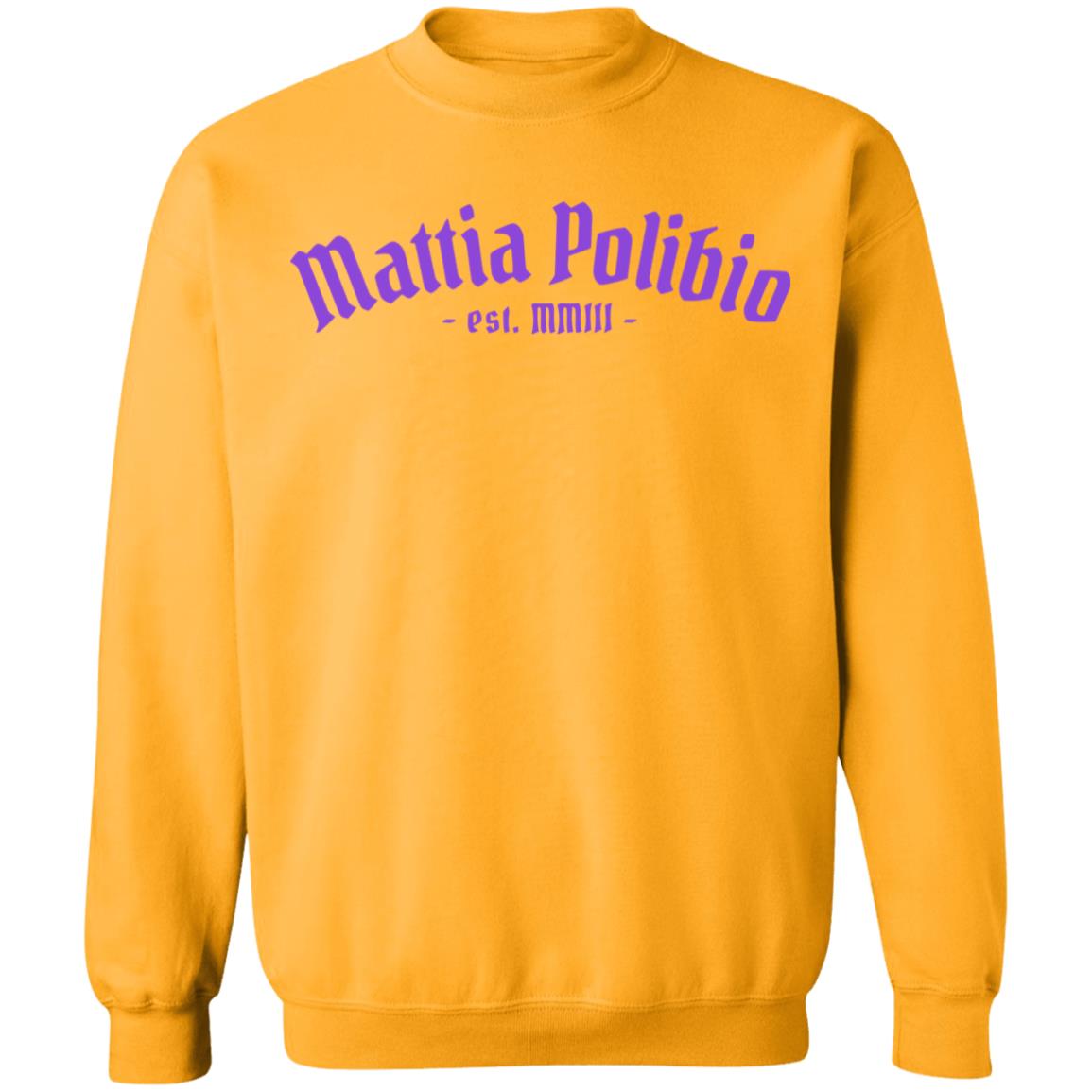 Mattia Polibio Logo T Shirt Mattia Polibio Logo Hoodie - Teechipus