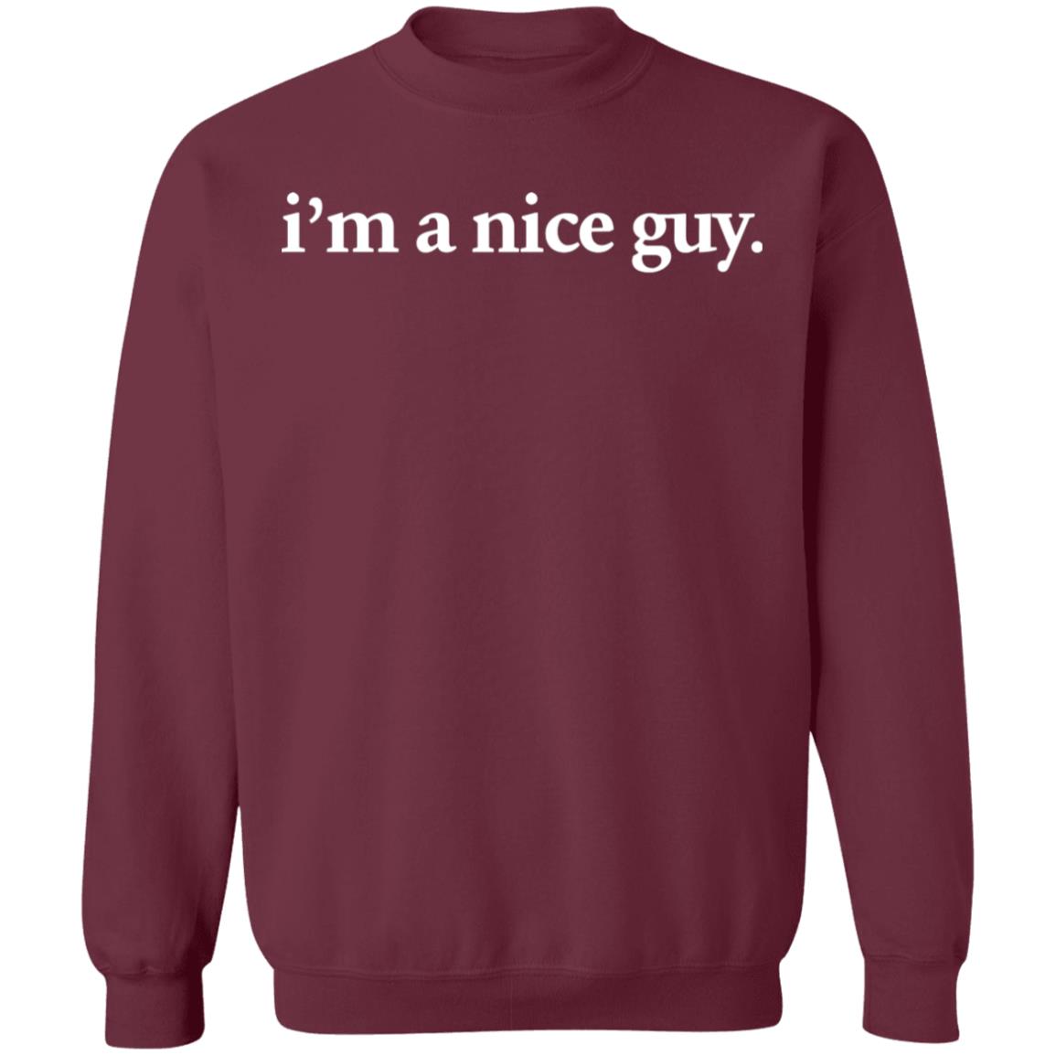 I'm A Nice Guy Hoodie Skittlz Merch Skittlz Merch I'm A Nice Guy Hoodie sweatshirt - Teechipus