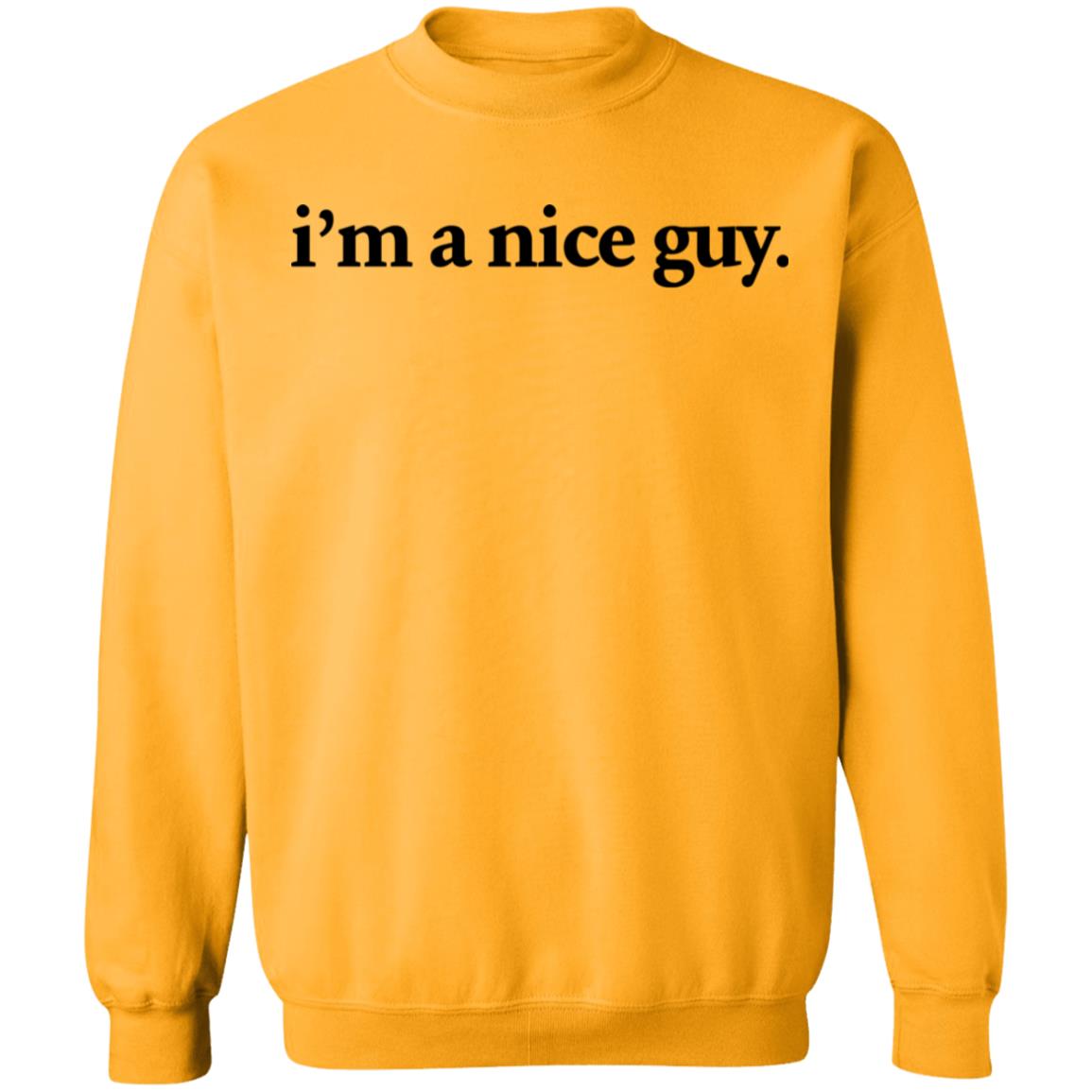 skittlz merch Nice Guy T Shirt Nice Guy Embroidered Crewneck Skittlz Merch - Teechipus