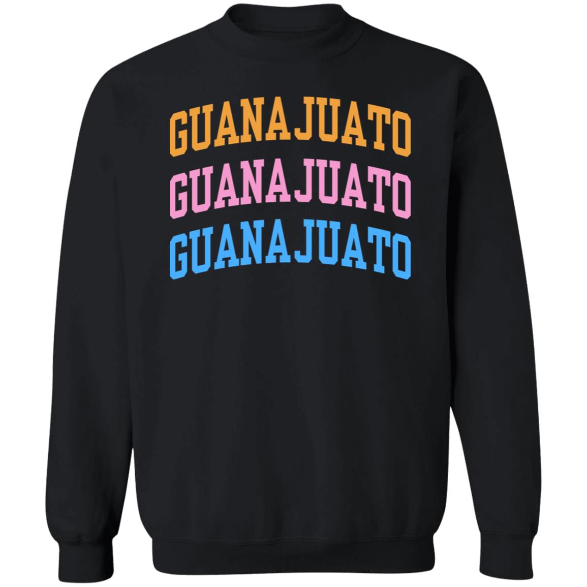 Evettexo Merch Guanajuato Estados Hoodie Evettexo Merch Guanajuato Estados Black Hoodie - Teechipus