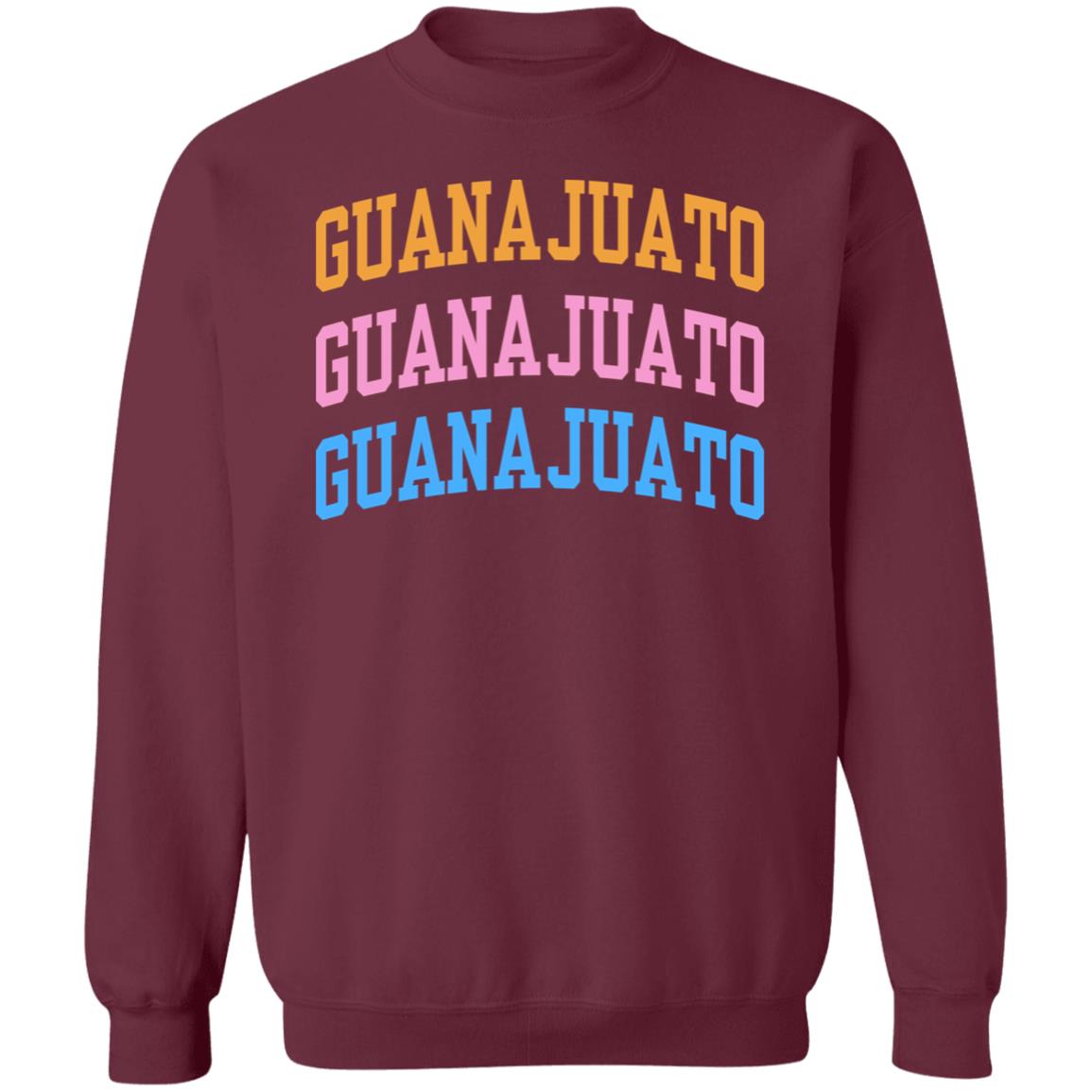 Evettexo Merch Guanajuato Estados Hoodie Evettexo Merch Guanajuato Estados Black Hoodie - Teechipus