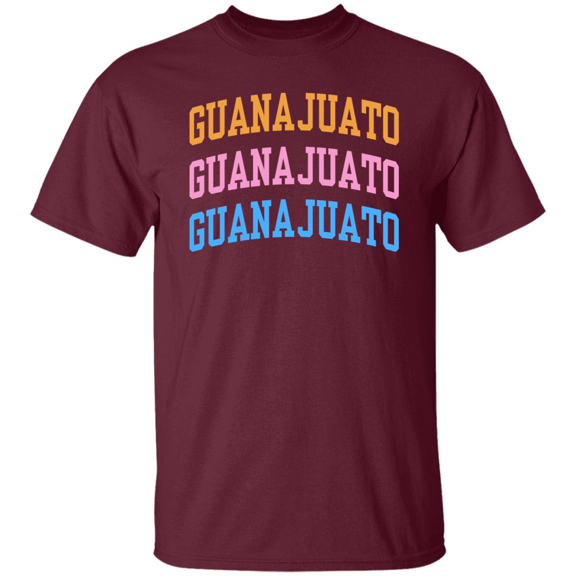 Evettexo Merch Guanajuato Estados Hoodie Evettexo Merch Guanajuato Estados Black Hoodie - Teechipus