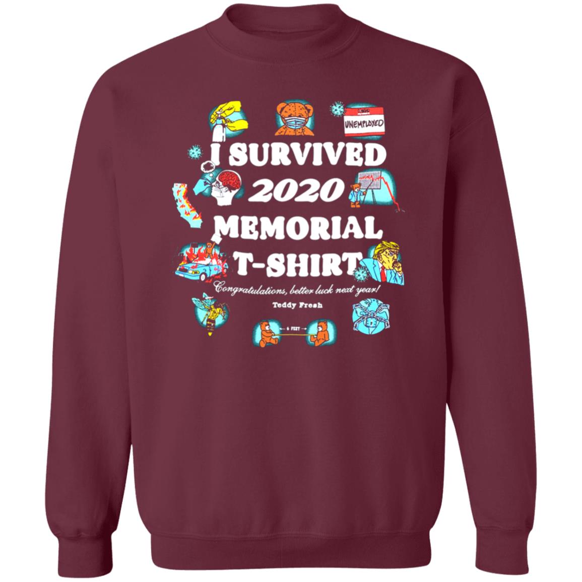 I Survived 2020 And All I Got Was This T Shirt I Survived 2020 And All I Got Was This Hoodie Sweatshirt - Teechipus