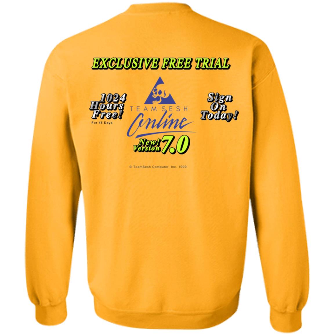 Teamsesh Merch Teamseshonline Shirt Teamsesh Merch Teamseshonline Hoodie Sweatshirt - Teechipus