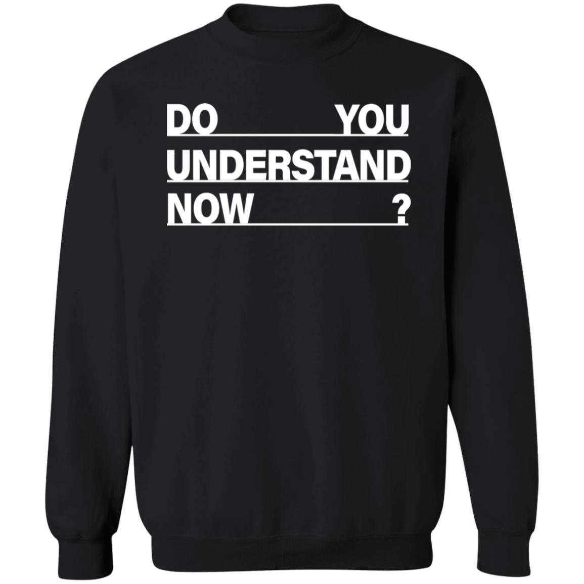 Do You Understand Now SHIRT Do You Understand Now Hoodie Sweatshirt - Teechipus