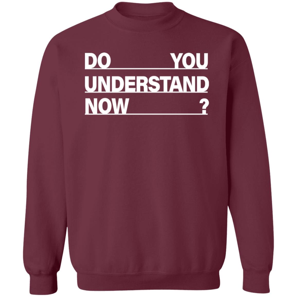 Do You Understand Now SHIRT Do You Understand Now Hoodie Sweatshirt - Teechipus
