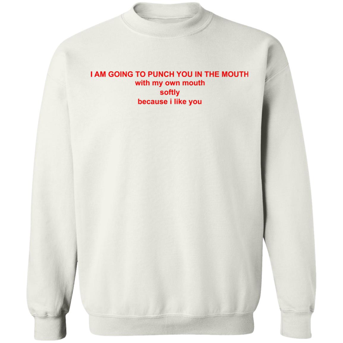 I Am Going To Punch You In The Mouth T Shirt Sweatshirt Hoodie Respectful Memes I Am Going To Punch You In The Mouth T Shirt I Like You T Shirt - Teechipus