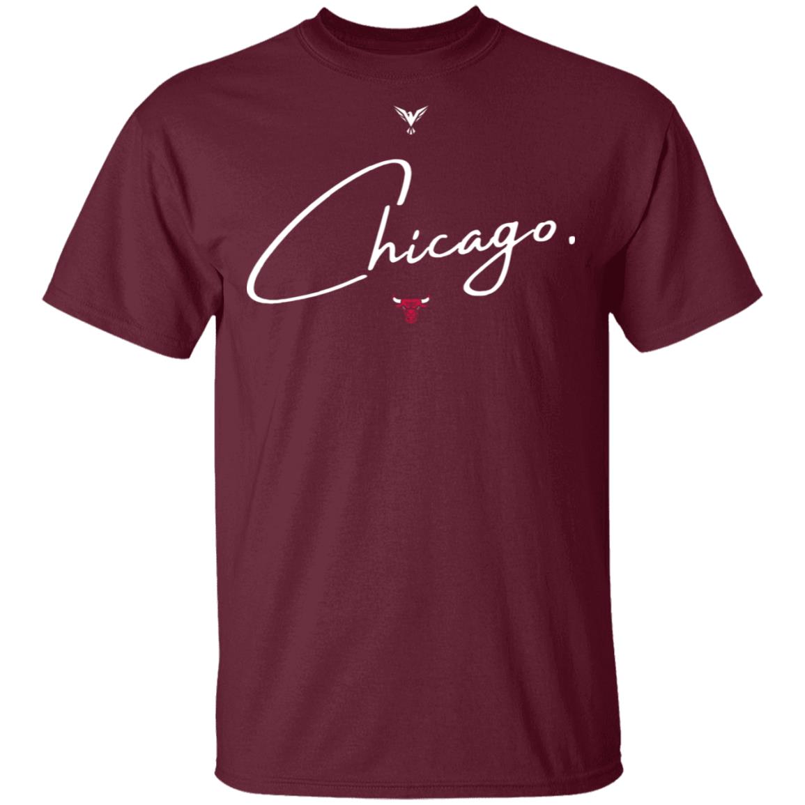 Aawol Chicago Bulls T Shirt Chicago Shirt Aawol Chicago Bulls T Shirt Hoodie Sweatshirt - Teechipus