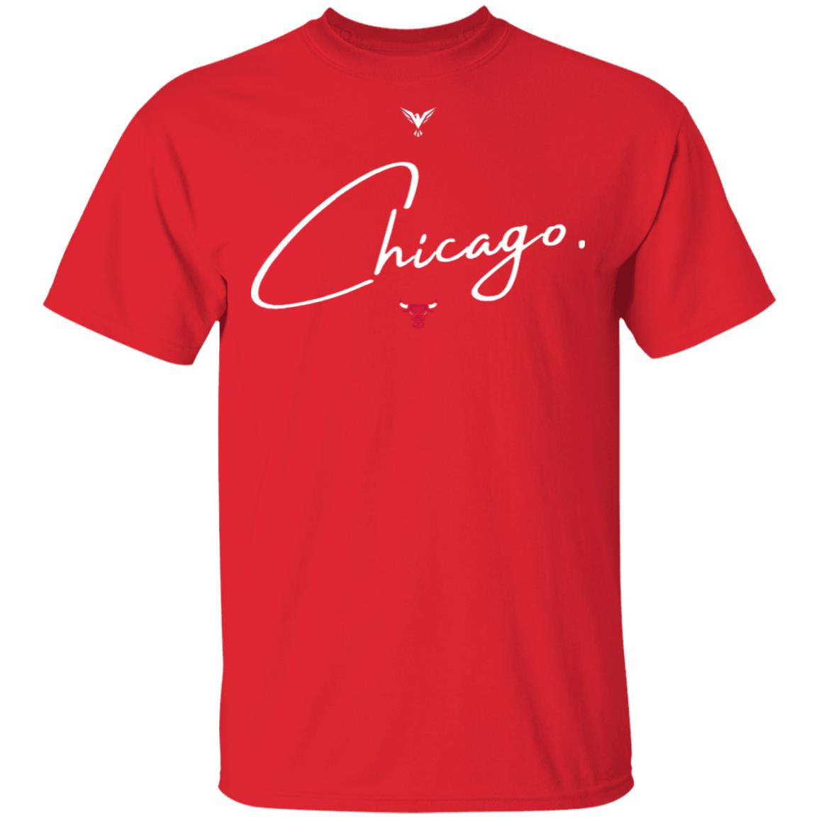 Aawol Chicago Bulls T Shirt Chicago Shirt Aawol Chicago Bulls T Shirt Hoodie Sweatshirt - Teechipus