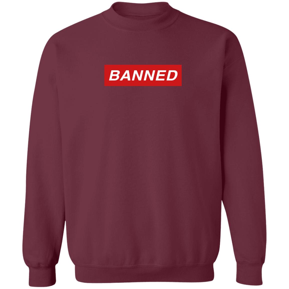 Banned T Shirt Ethan Crankgameplays Merch Banned Shirt Hoodie Sweatshirt - Teechipus