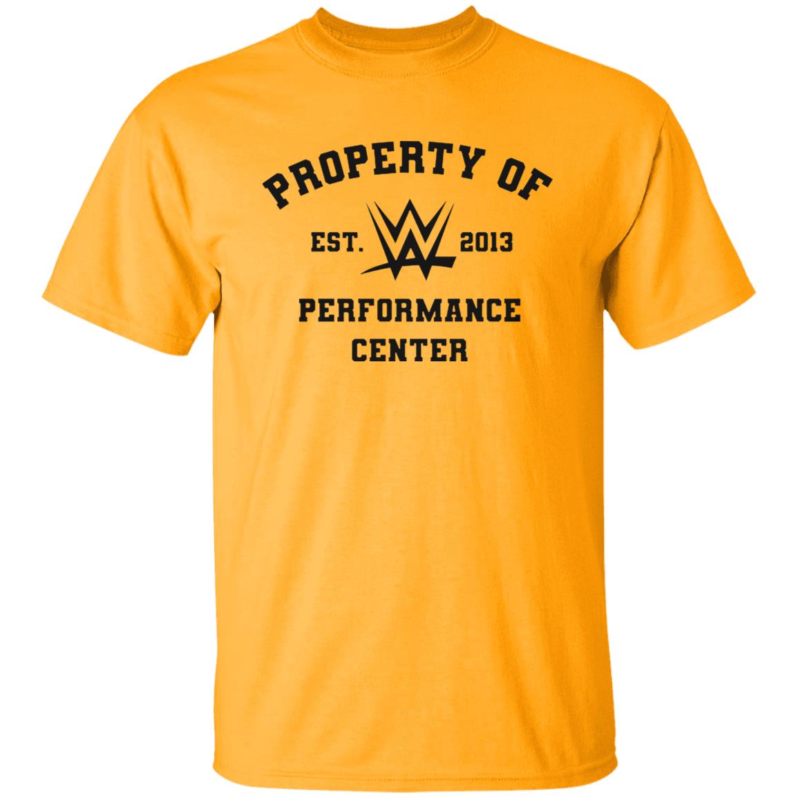Property Of Est 2013 Performance Center Shirt John Morrison Property Of Performance Center Shirt Hoodie Sweatshirt - Teechipus