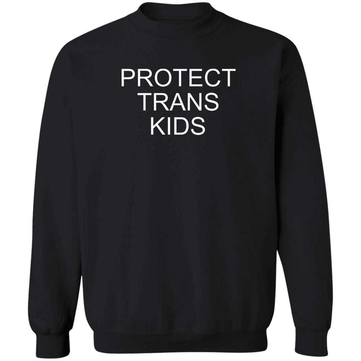 Protect Trans Kids Shirt Shane Lynch Protect Trans Kids Shirt Don Cheadle Protect Trans Kids Shirt Hoodie Sweatshirt - Teechipus