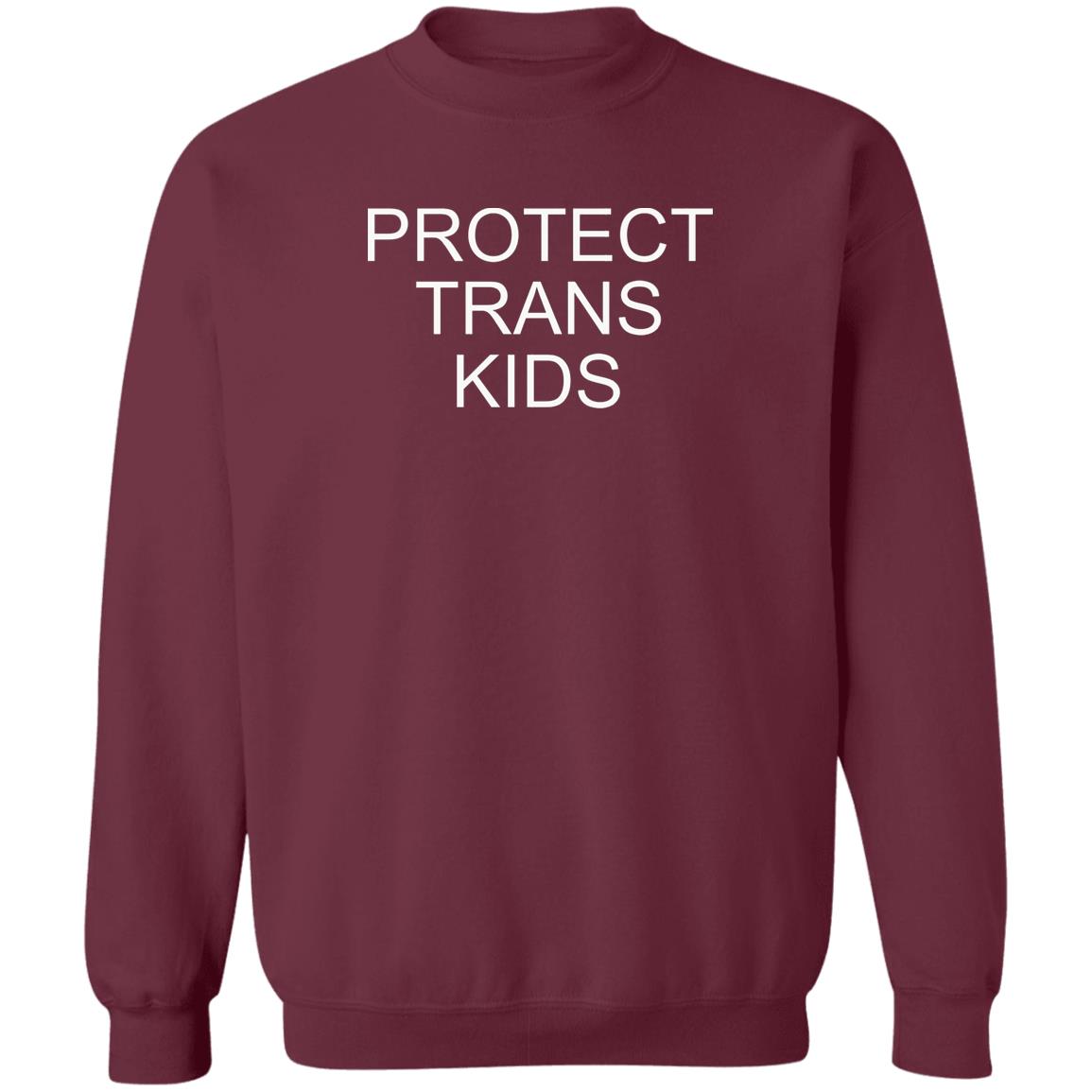Protect Trans Kids Shirt Shane Lynch Protect Trans Kids Shirt Don Cheadle Protect Trans Kids Shirt Hoodie Sweatshirt - Teechipus