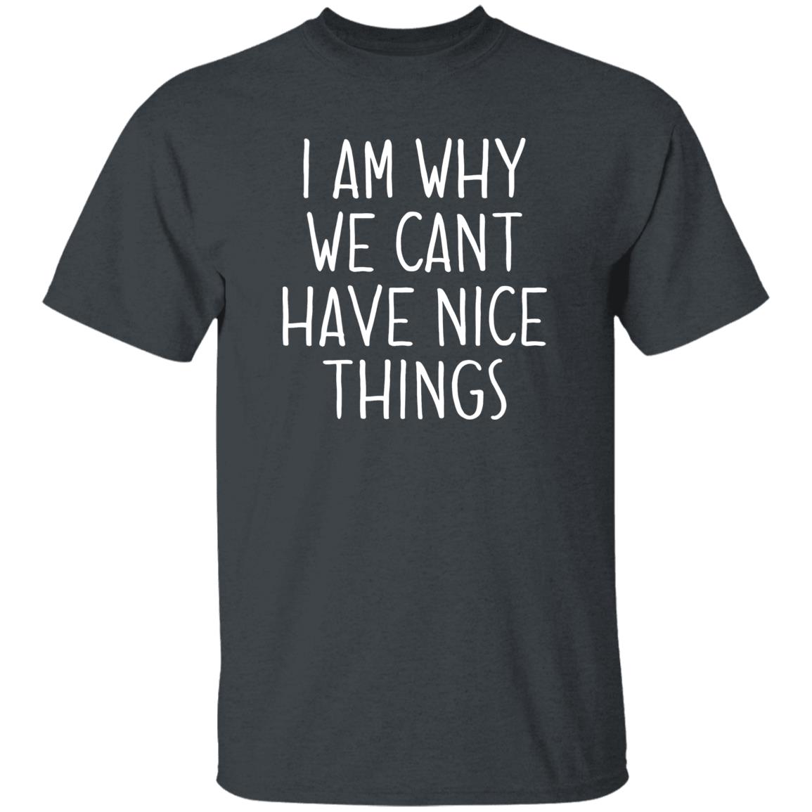 I Am Why We Can't Have Nice Things Shirt Trash Baby Jude’S School Why Am I In Jail? Shirt Hoodie sweatshirt - Teechipus