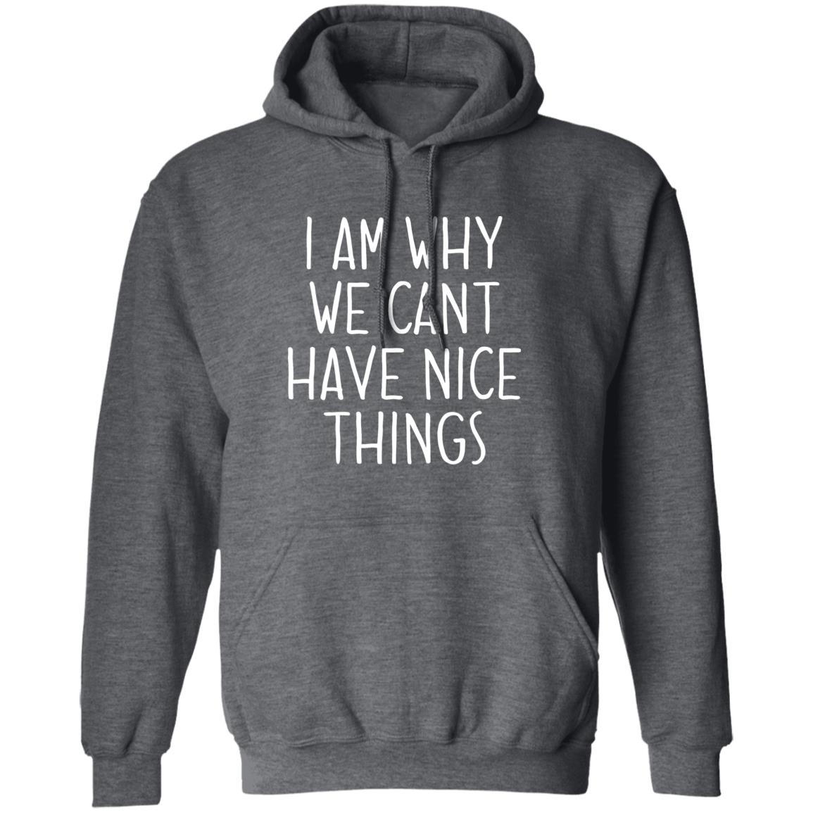 I Am Why We Can't Have Nice Things Shirt Trash Baby Jude’S School Why Am I In Jail? Shirt Hoodie sweatshirt - Teechipus