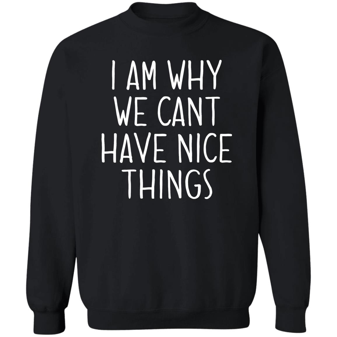 I Am Why We Can't Have Nice Things Shirt Trash Baby Jude’S School Why Am I In Jail? Shirt Hoodie sweatshirt - Teechipus