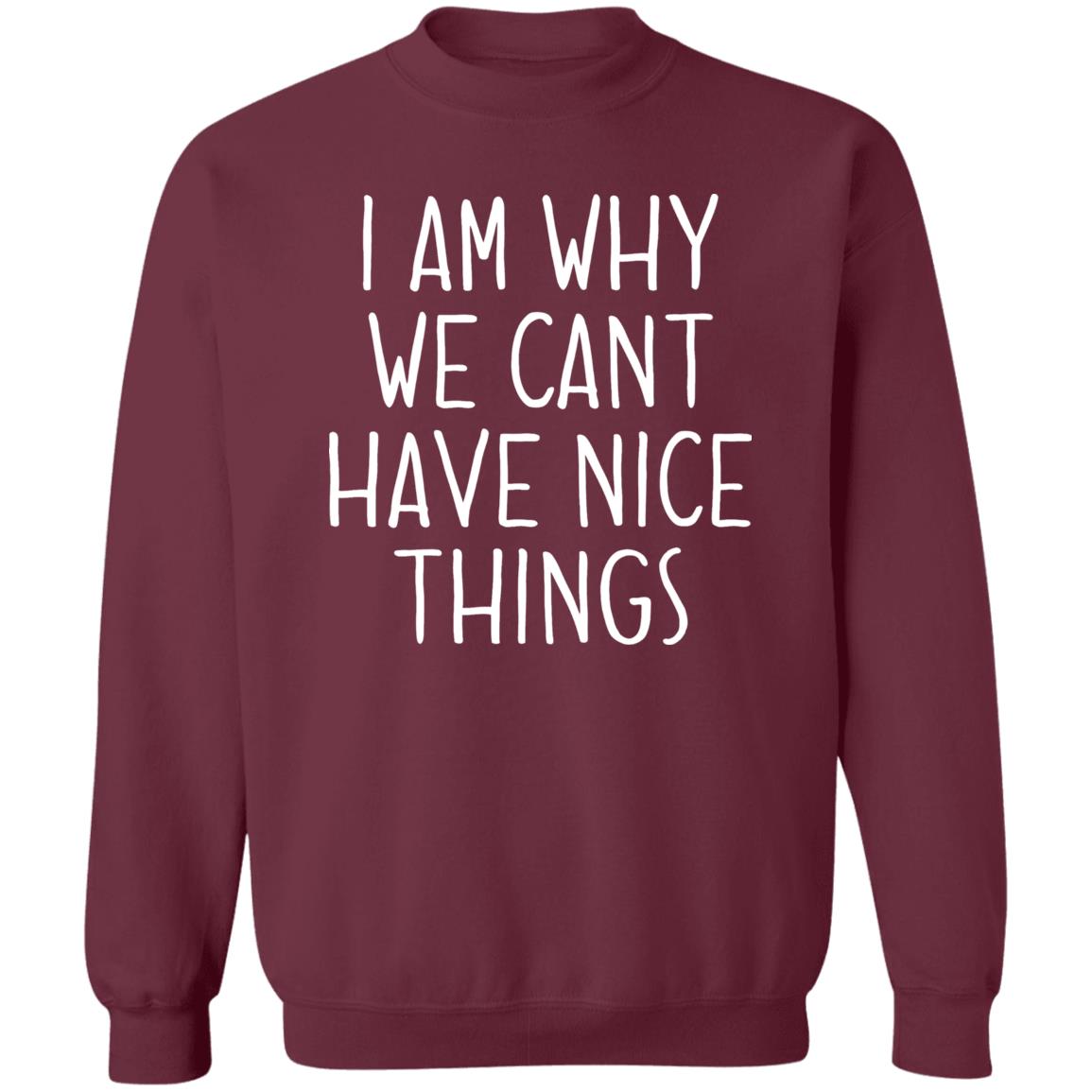 I Am Why We Can't Have Nice Things Shirt Trash Baby Jude’S School Why Am I In Jail? Shirt Hoodie sweatshirt - Teechipus