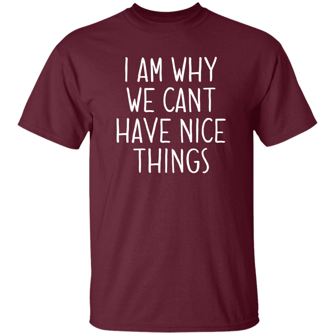 I Am Why We Can't Have Nice Things Shirt Trash Baby Jude’S School Why Am I In Jail? Shirt Hoodie sweatshirt - Teechipus