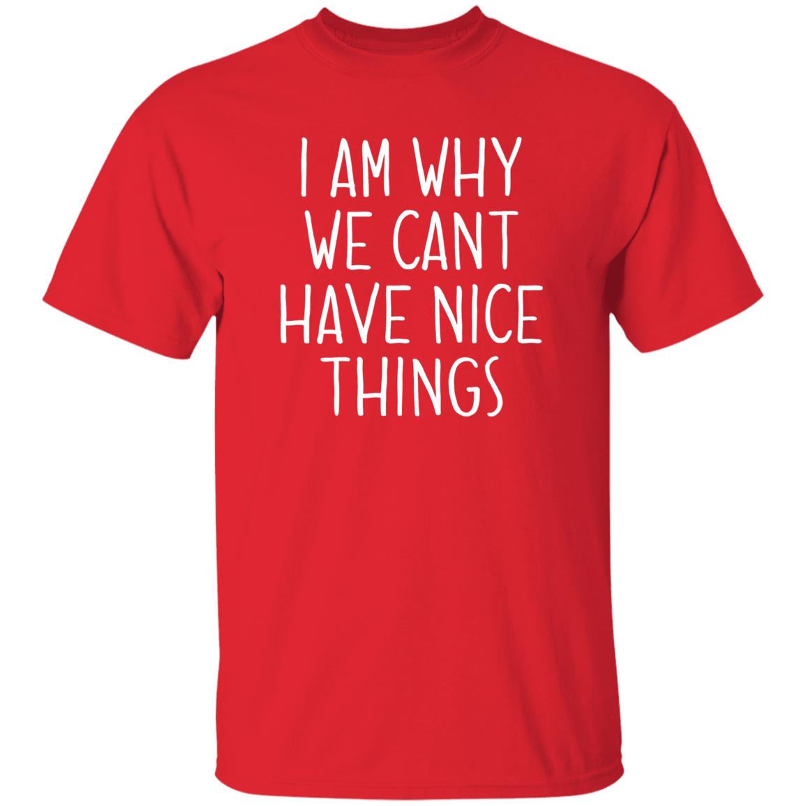 I Am Why We Can't Have Nice Things Shirt Trash Baby Jude’S School Why Am I In Jail? Shirt Hoodie sweatshirt - Teechipus