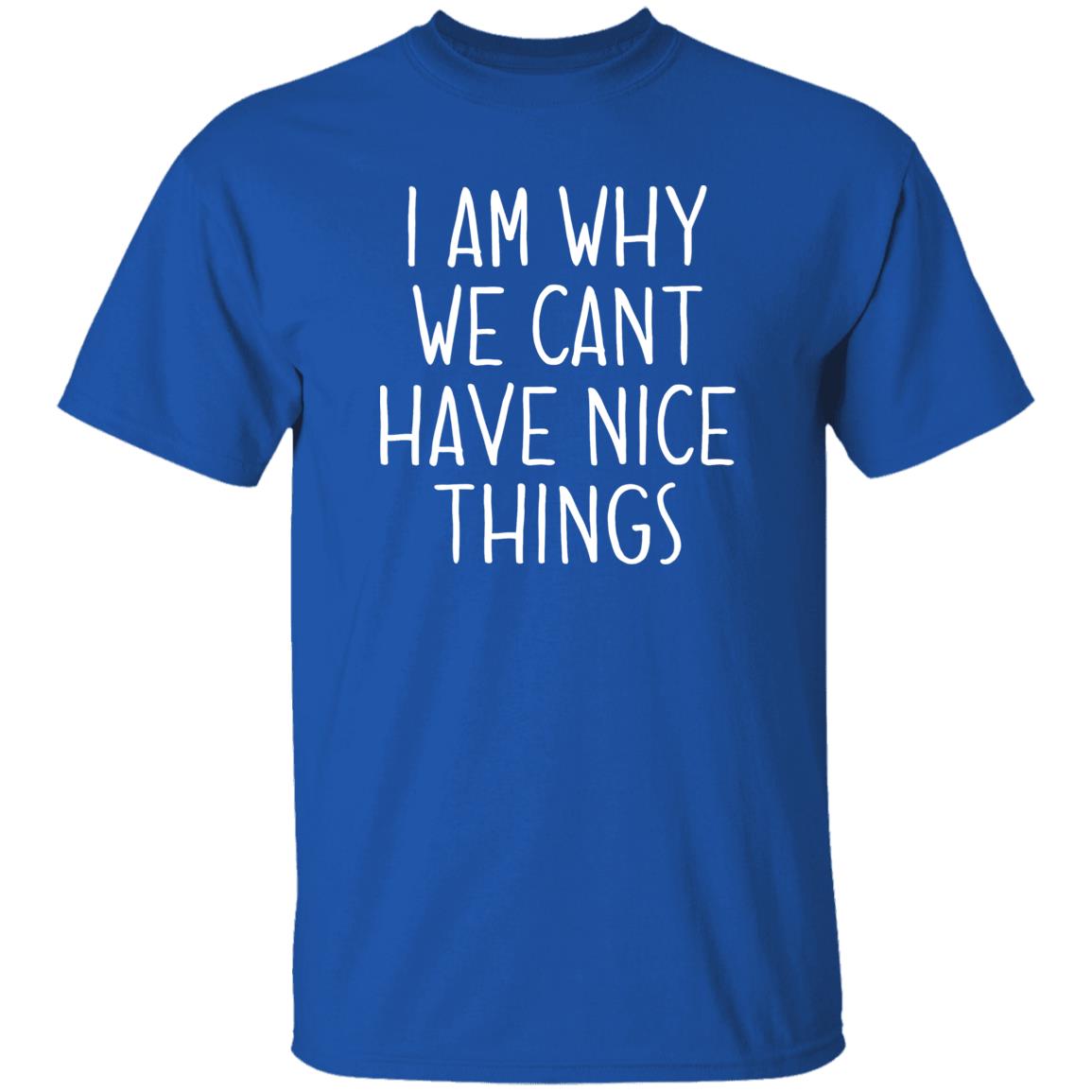 I Am Why We Can't Have Nice Things Shirt Trash Baby Jude’S School Why Am I In Jail? Shirt Hoodie sweatshirt - Teechipus