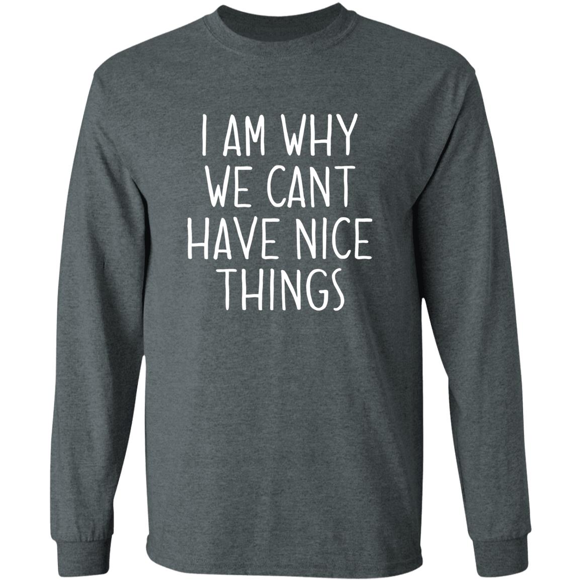 I Am Why We Can't Have Nice Things Shirt Trash Baby Jude’S School Why Am I In Jail? Shirt Hoodie sweatshirt - Teechipus