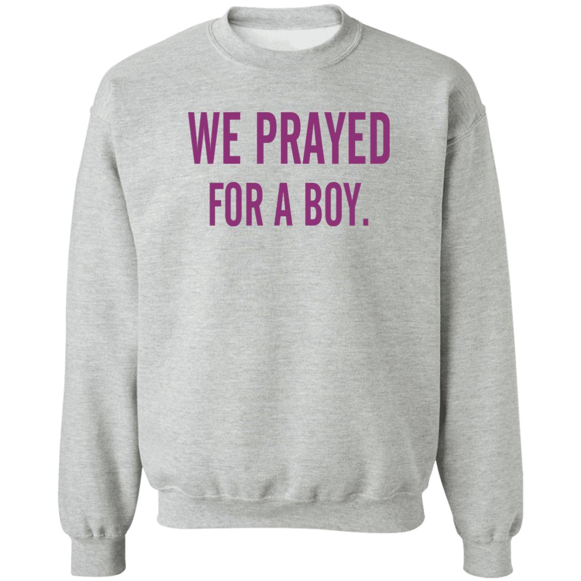 We Prayed For A Boy Shirt Sarah Schauer We Prayed For A Boy Shirt Hoodie Sweatshirt - Teechipus