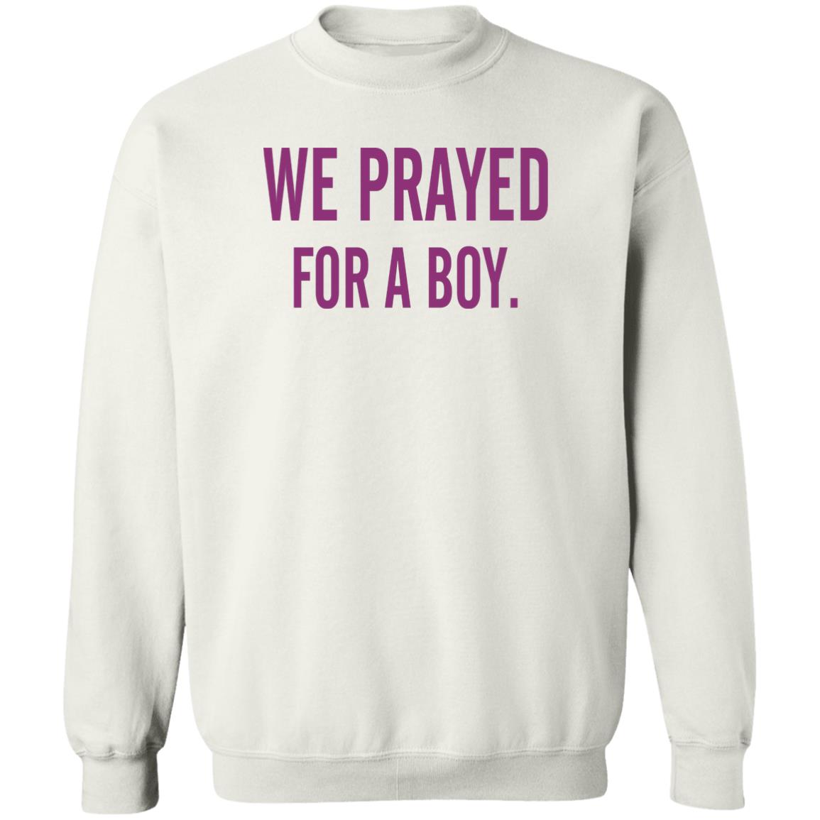 We Prayed For A Boy Shirt Sarah Schauer We Prayed For A Boy Shirt Hoodie Sweatshirt - Teechipus